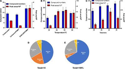 Mechanism of a Volatile Organic Compound (6-Methyl-2-Heptanone) Emitted From Bacillus subtilis ZD01 Against Alternaria solani in Potato